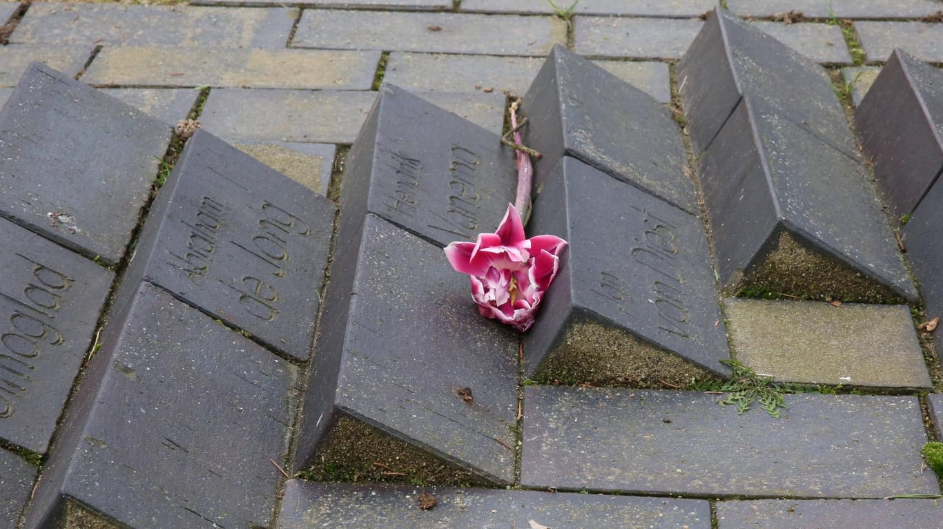 Eine Blume auf einem Ehrenfiredhof für die Opfer eines Konzentrationslagers: Die Auschwitz-Überlebende Esther Bejarano formulierte ihren Vorschlag in einem offenen Brief. (Archivbild)