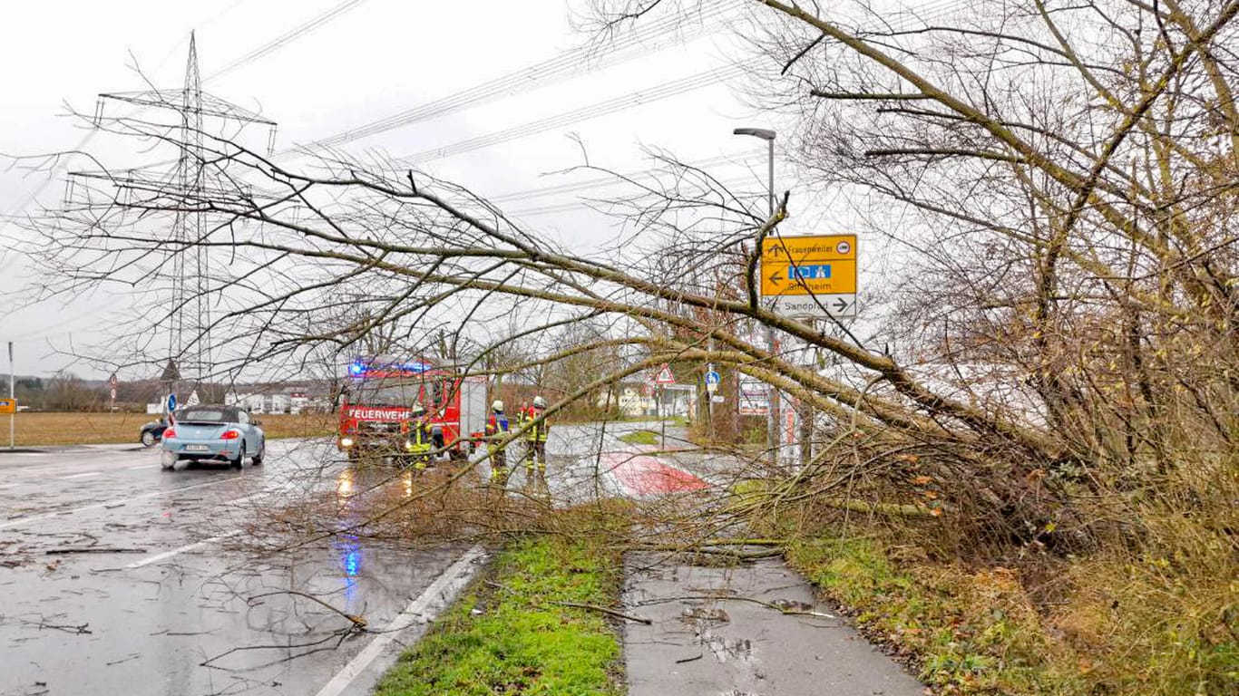 Einsatzkräfte räumen einen Baum von einer Straße bei Wiesloch, der bei dem Sturm umfiel: Vormittags zog "Lolita" über den Südwesten Deutschlands.