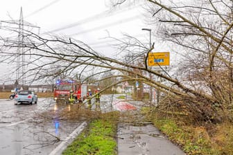 Einsatzkräfte räumen einen Baum von einer Straße bei Wiesloch, der bei dem Sturm umfiel: Vormittags zog "Lolita" über den Südwesten Deutschlands.