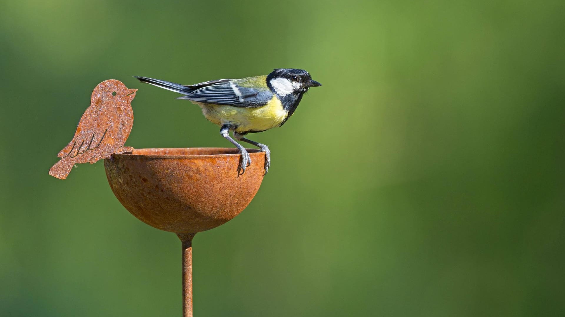 Garten-Deko aus Rost: Der Kohlmeise gefällt offenbar der stilvolle Rost-Look.