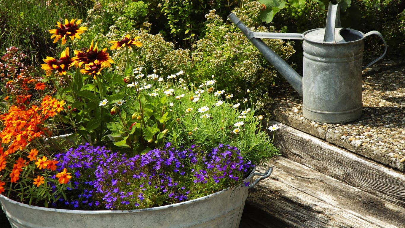 Garten-Dekoration: Mit einer ausrangierten Zinkwanne – dekorativ bepflanzt – geben Sie Ihrem Garten das gewisse Etwas.