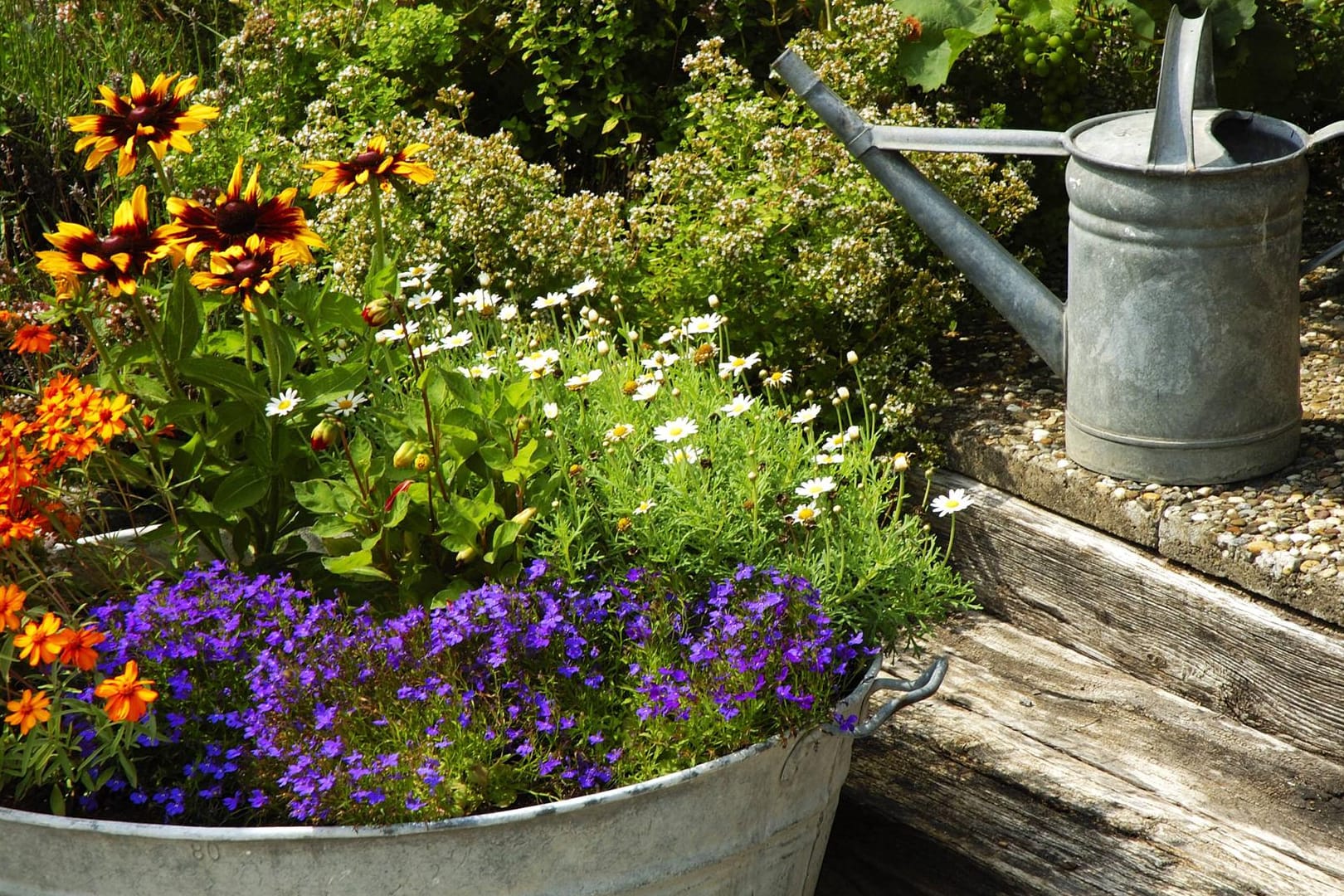 Garten-Dekoration: Mit einer ausrangierten Zinkwanne – dekorativ bepflanzt – geben Sie Ihrem Garten das gewisse Etwas.