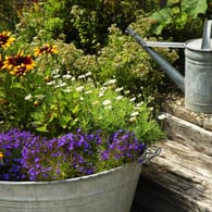 Garten-Dekoration: Mit einer ausrangierten Zinkwanne – dekorativ bepflanzt – geben Sie Ihrem Garten das gewisse Etwas.