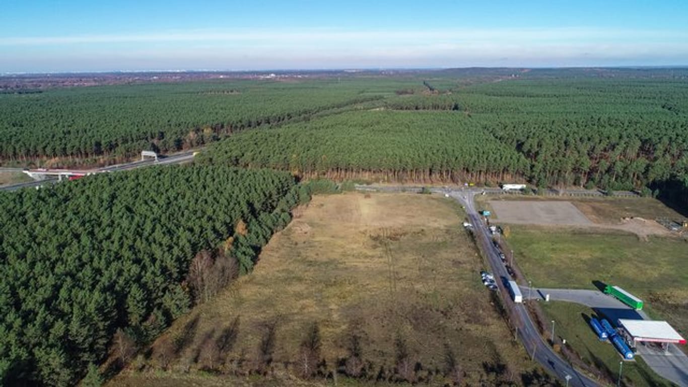 Fabrikgelände: Tesla hat ein rund 300 Hektar großes Grundstück in Grünheide gekauft.