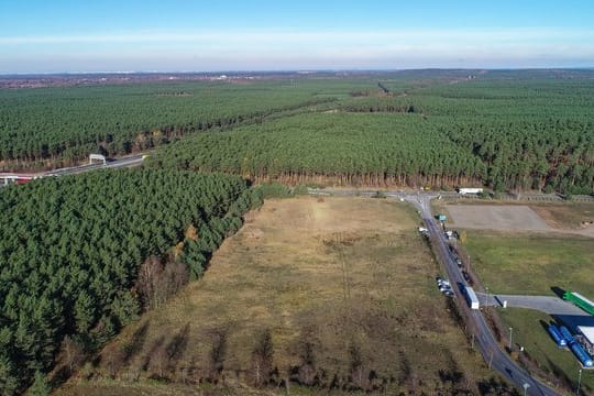 Fabrikgelände: Tesla hat ein rund 300 Hektar großes Grundstück in Grünheide gekauft.
