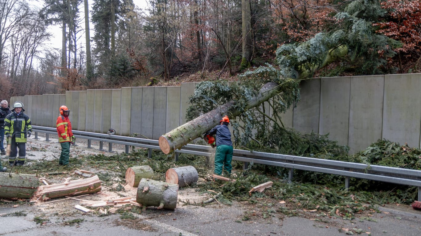 Einsatzkräfte räumen einen Baum von der Straße: Es wurden Windgeschwindigkeiten über 100 km/h gemessen.
