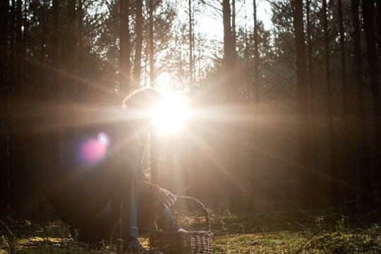 Auch im Winter kann man im Wald Pilze suchen.