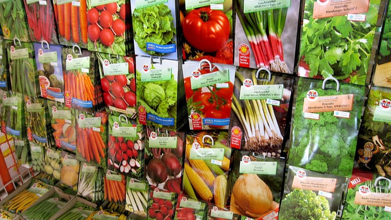 Tüten mit Saatgut für Gemüse: Sollte man die Sämereien kaufen oder selbst den Samen im vorangegangenen Jahr sammeln?