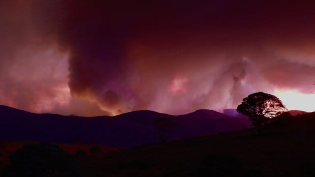 Wegen des riesigen Feuers haben die Behörden für die australische Hauptstadt Canberra und die umliegende Region den Notstand ausgerufen. Wegen des riesigen Feuers haben die Behörden für die australische Hauptstadt Canberra und die umliegende Region den Notstand ausgerufen.