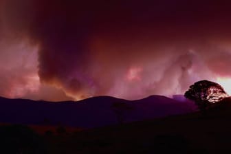 Wegen des riesigen Feuers haben die Behörden für die australische Hauptstadt Canberra und die umliegende Region den Notstand ausgerufen.