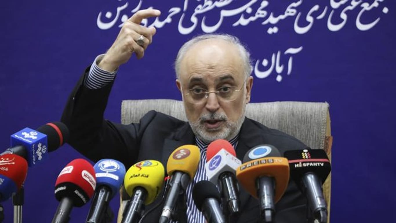 Ali Akbar Salehi, Chef der iranischen Atomenergieorganisation AEOI.