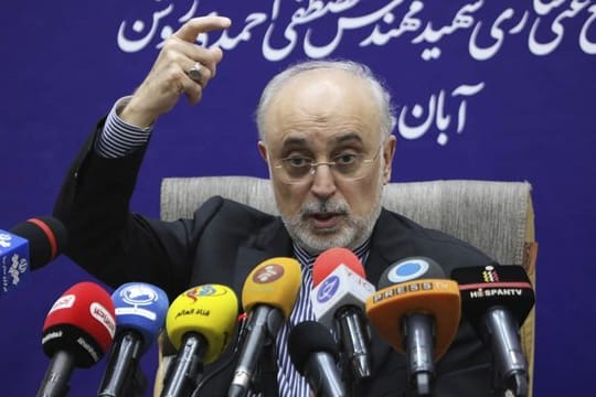 Ali Akbar Salehi, Chef der iranischen Atomenergieorganisation AEOI.