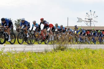 Das Fahrerfeld fährt geschlossen auf der Strecke bei der Mallorca Challenge.