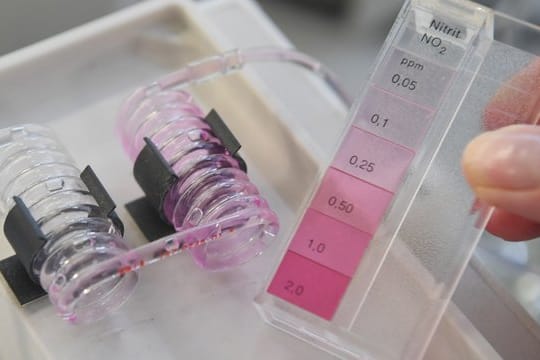 Bei der Landesanstalt für Umwelt, Messungen und Naturschutz Baden-Württemberg wird mit einem Durchflussphotometer der Nitratgehalt im Wasser über Nitrit bestimmt.