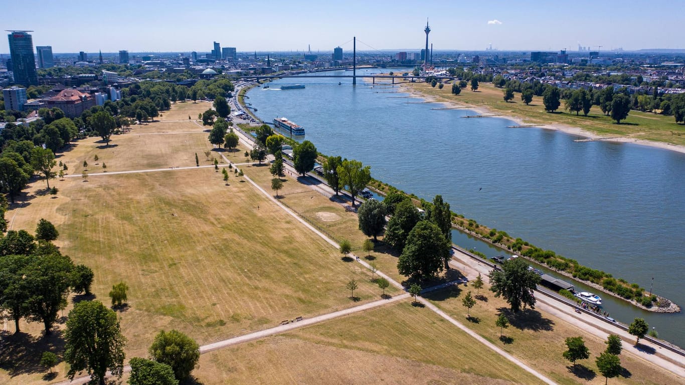 Der Rheinpark in Golzheim: Hier am Ufer lässt es sich vor allem an heißen Sommertagen bestens aushalten.