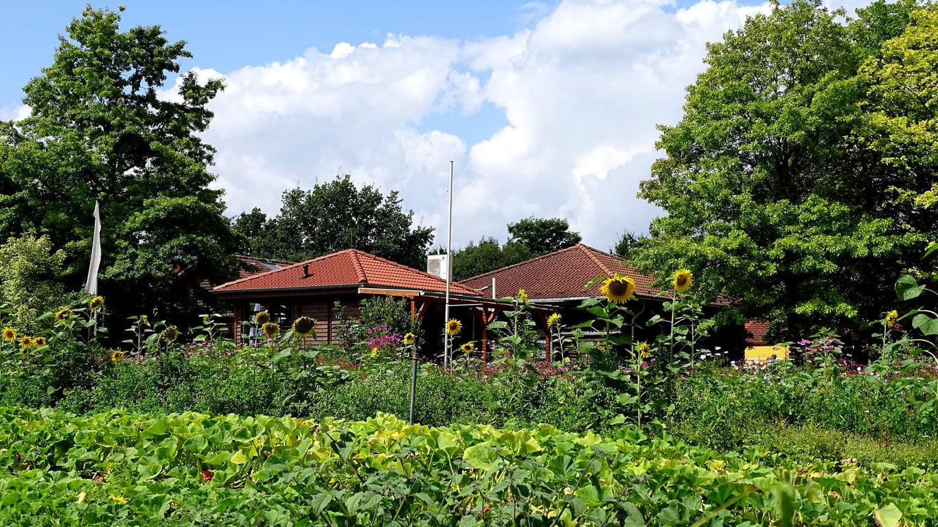 Blick über den Bauerngarten im Südpark: Im Düsseldorfer Südpark gibt es zahlreiche Themengärten.