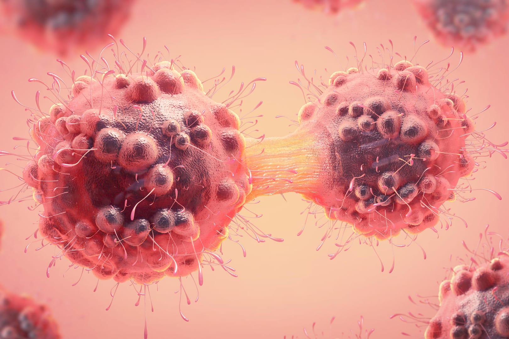 3D-Illustration einer Krebszelle während der Teilung: Der Weltkrebstag findet jährlich am 4. Februar statt und hat zum Ziel, die Vorbeugung, Erforschung und Behandlung von Krebserkrankungen ins öffentliche Bewusstsein zu rücken.