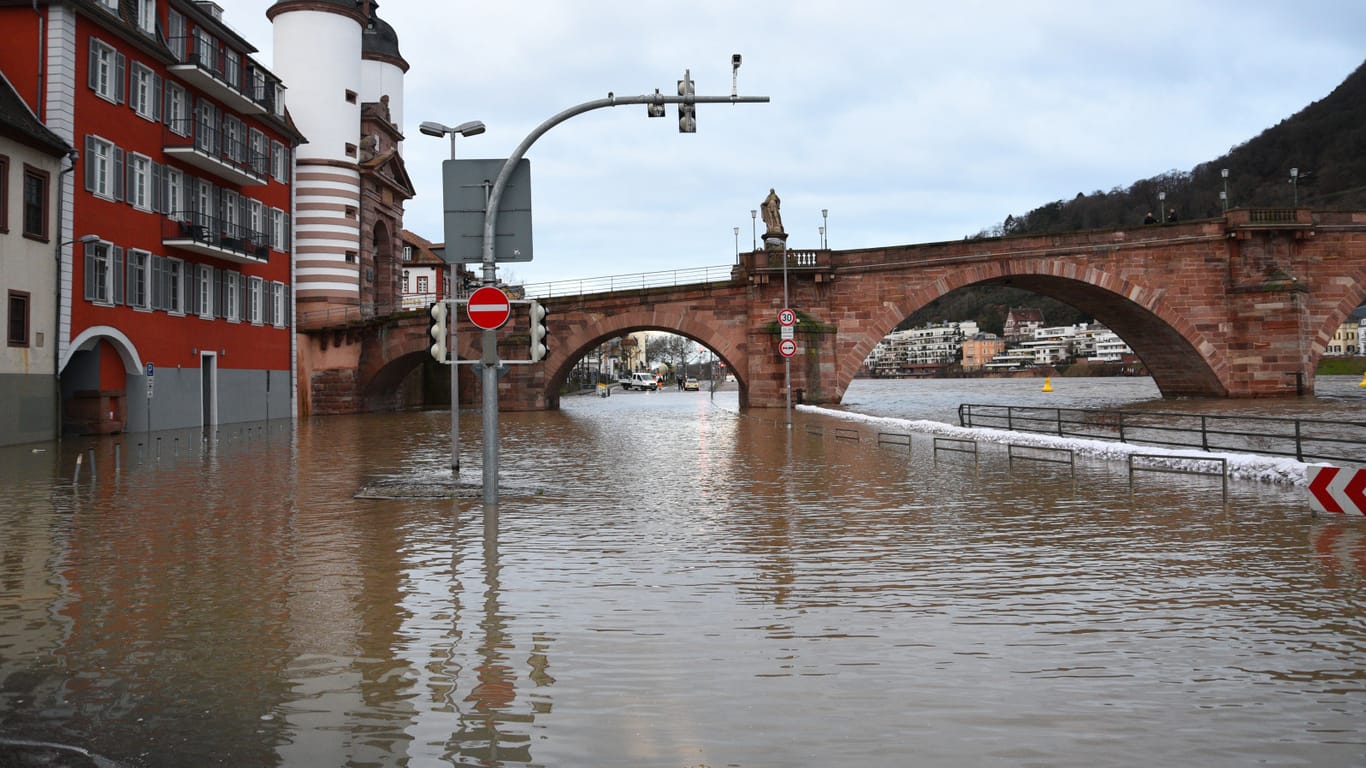 Heidelberg: Der Neckar in Heidelberg ist nach starkem Regen über die Ufer getreten.