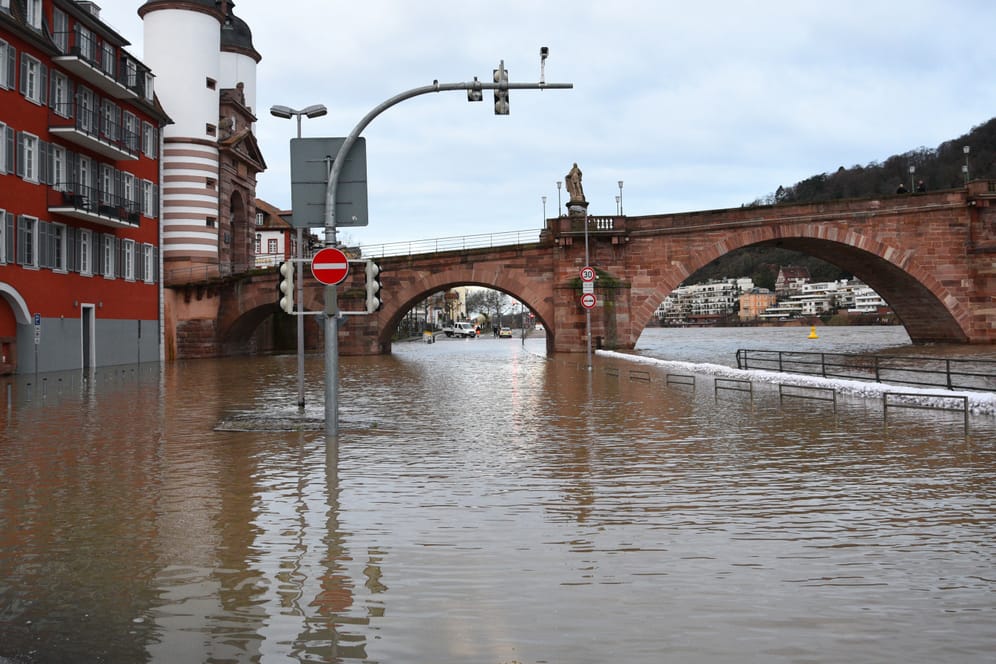 Heidelberg: Der Neckar in Heidelberg ist nach starkem Regen über die Ufer getreten.