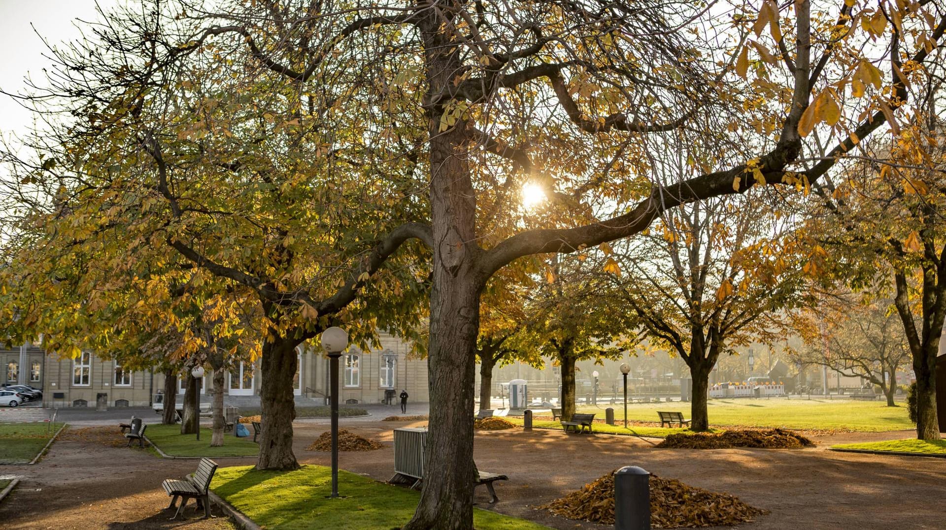 Sonnenaufgang im Schlossgarten Stuttgart: Der rund 600 Jahre alte Park ist einer der beliebtesten der Stadt.