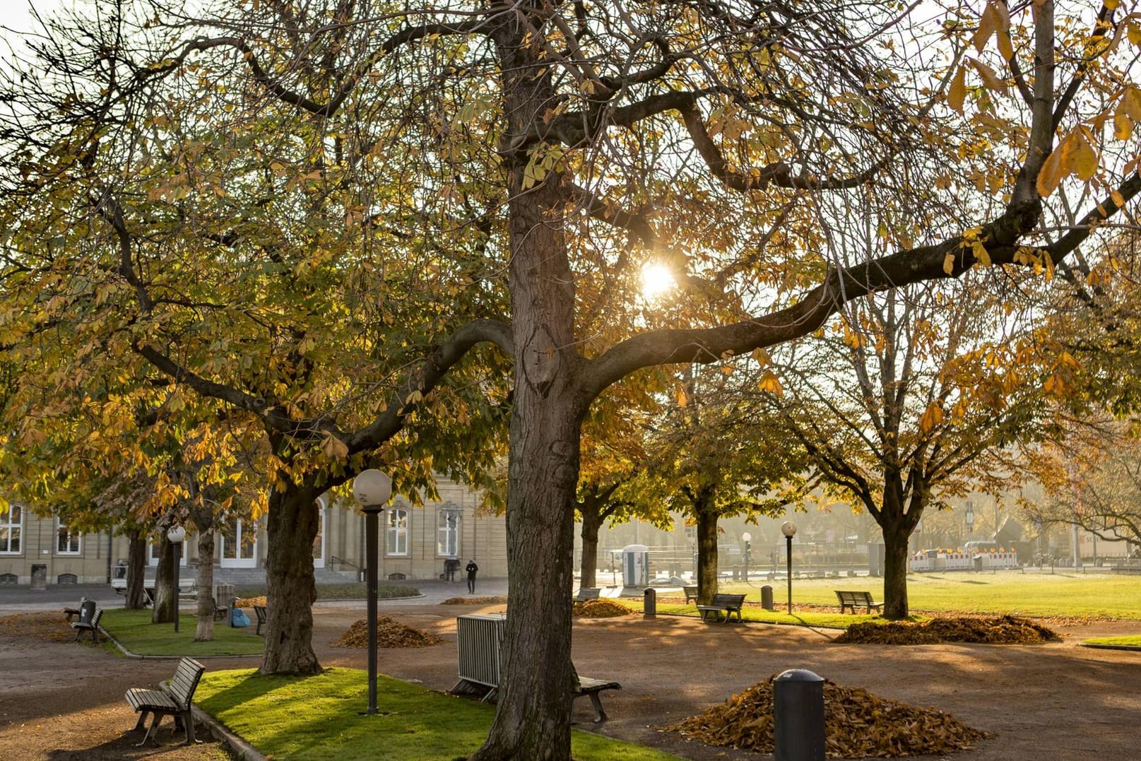 Sonnenaufgang im Schlossgarten Stuttgart: Der rund 600 Jahre alte Park ist einer der beliebtesten der Stadt.