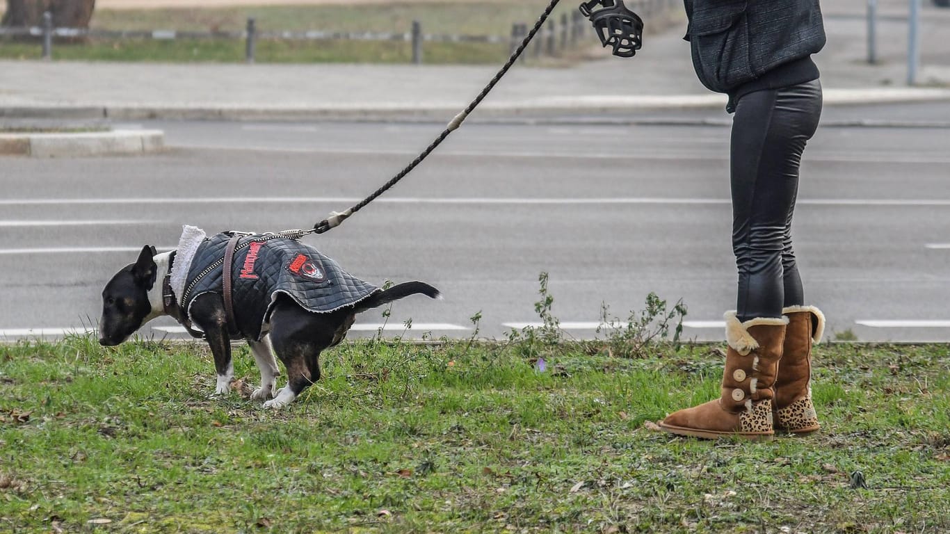 Eine Frau mit einem Hund (Symbolbild): Wer in Karlsruhe einen Hundehaufen liegenlässt, muss 150 Euro Strafe zahlen.