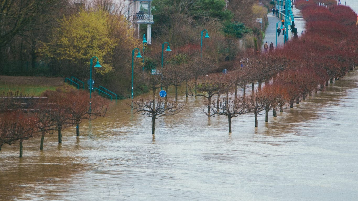 Hochwasser am Beueler Ufer im Januar 2018: Die Stadt Bonn hat mehrere Maßnahmen zum Hochwasserschutz getroffen.