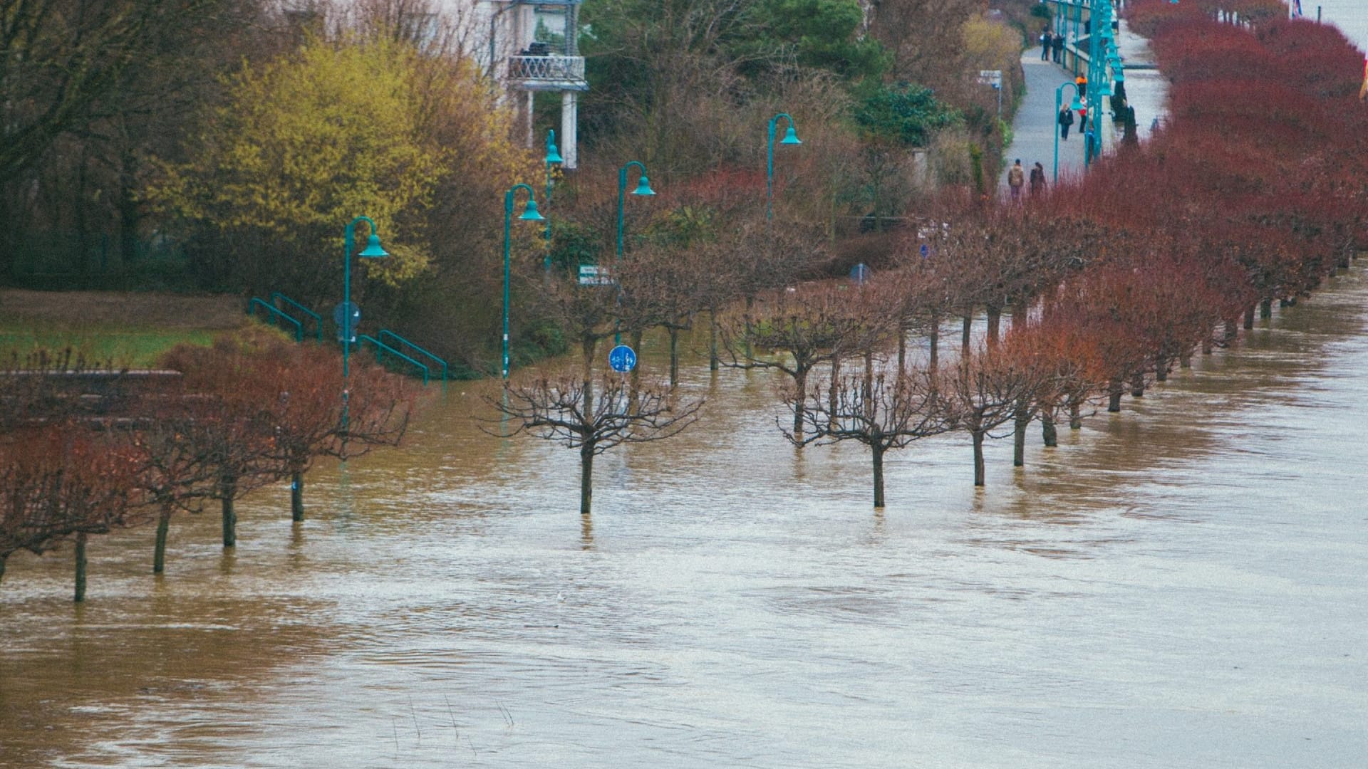 Hochwasser am Beueler Ufer im Januar 2018: Die Stadt Bonn hat mehrere Maßnahmen zum Hochwasserschutz getroffen. Hochwasser am Beueler Ufer im Januar 2018: Die Stadt Bonn hat mehrere Maßnahmen zum Hochwasserschutz getroffen.
