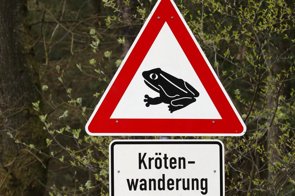 Hinweisschild zur Krötenwanderung: In Wolfsburg werden bald mehrere Straßen zum Schutz der Amphibien gesperrt (Symbolbild).