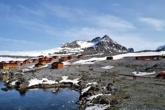Die Forschungsstation Esperanza: Seit 114 Jahren betreibt Argentinien den Standort auf der Antarktischen Halbinsel.