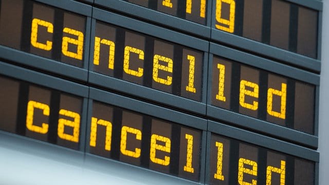 Eine dänische Regional-Airline soll einem Hund Entschädigung zahlen - wegen eines ausgefallenen Kurzstreckenflugs. Eine dänische Regional-Airline soll einem Hund Entschädigung zahlen - wegen eines ausgefallenen Kurzstreckenflugs.