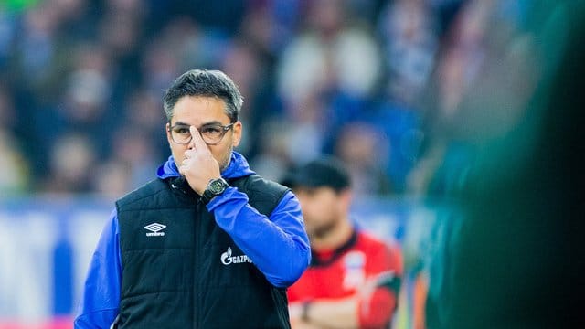 Bedient: Schalke-Coach David Wagner.