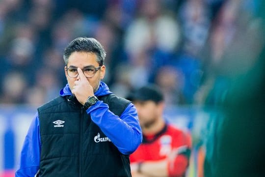 Bedient: Schalke-Coach David Wagner.