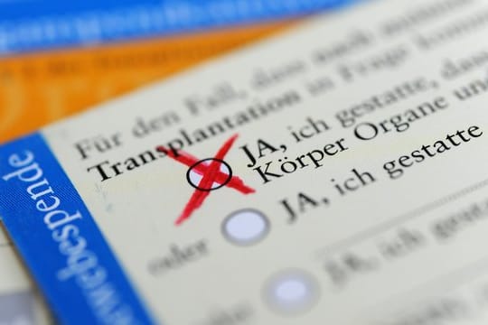 Plötzlich gefragt: Die Rückseite eines Organspende-Ausweises mit angekreuztem Zustimmungsfeld.