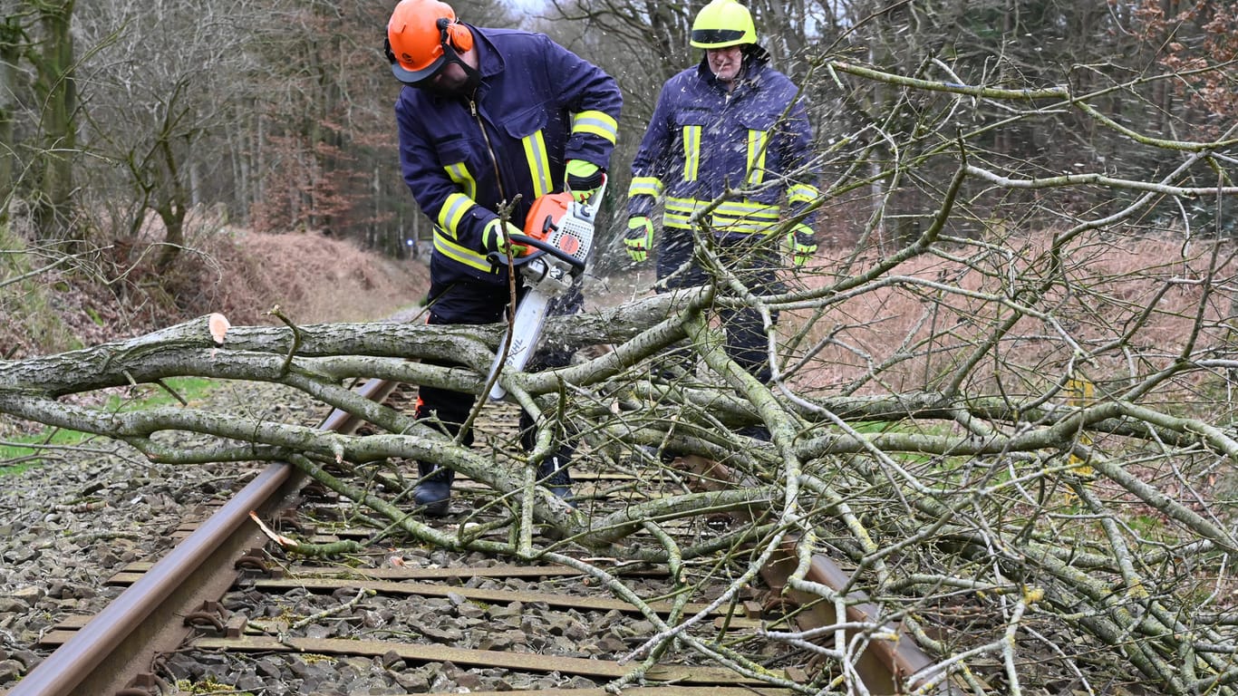 Schleswig-Holstein, Aukrug-Homfeld: Freiwillige Feuerwehrmänner beseitigen einen umgeknickten Baum auf der Bahnstrecke Neumünster-Heide. Der Schaden wurde durch das Sturmtief "Sabine" verursacht.