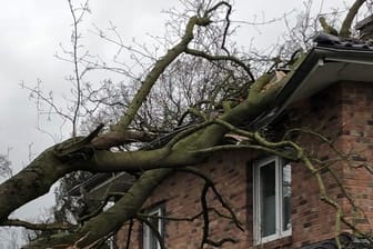 Bei einem Sturm werden Häuser mitunter von umfallenden Bäumen getroffen.