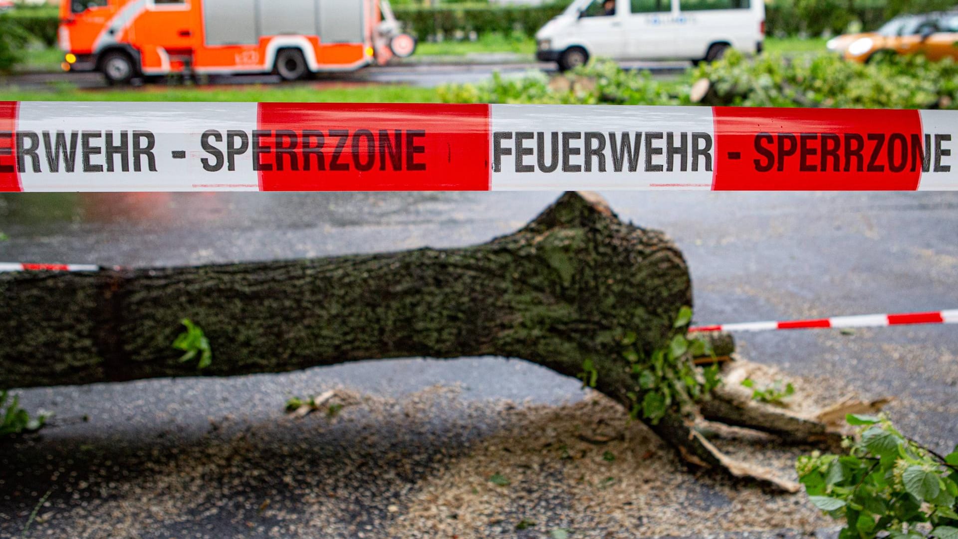 Ein umgestürzter Baum liegt auf der Straße: 15 Mal mussten die Einsatzkräfte seit Sonntagnachmittag ausrücken.