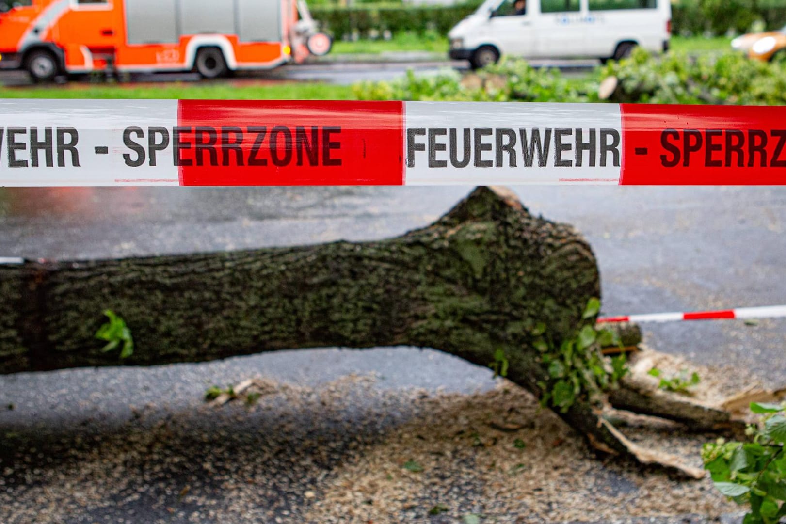 Ein umgestürzter Baum liegt auf der Straße: 15 Mal mussten die Einsatzkräfte seit Sonntagnachmittag ausrücken.