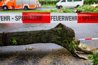 Ein umgestürzter Baum liegt auf der Straße: 15 Mal mussten die Einsatzkräfte seit Sonntagnachmittag ausrücken.