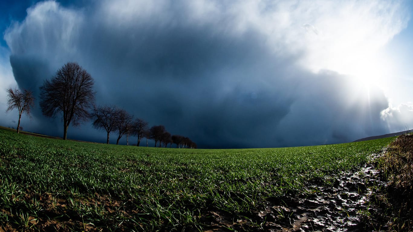 Regenwolken ziehen über ein Feld im Landkreis Göttingen: Obwohl sich das Orkantief "Sabine" verabschiedet hat, bleibt es erstmal weiter stürmisch.