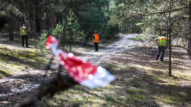 Einsatzkräfte suchen in einem Waldgebiet in Brandenburg nach Hinweisen: Die vermisste Rebecca wurde bisher nicht gefunden.