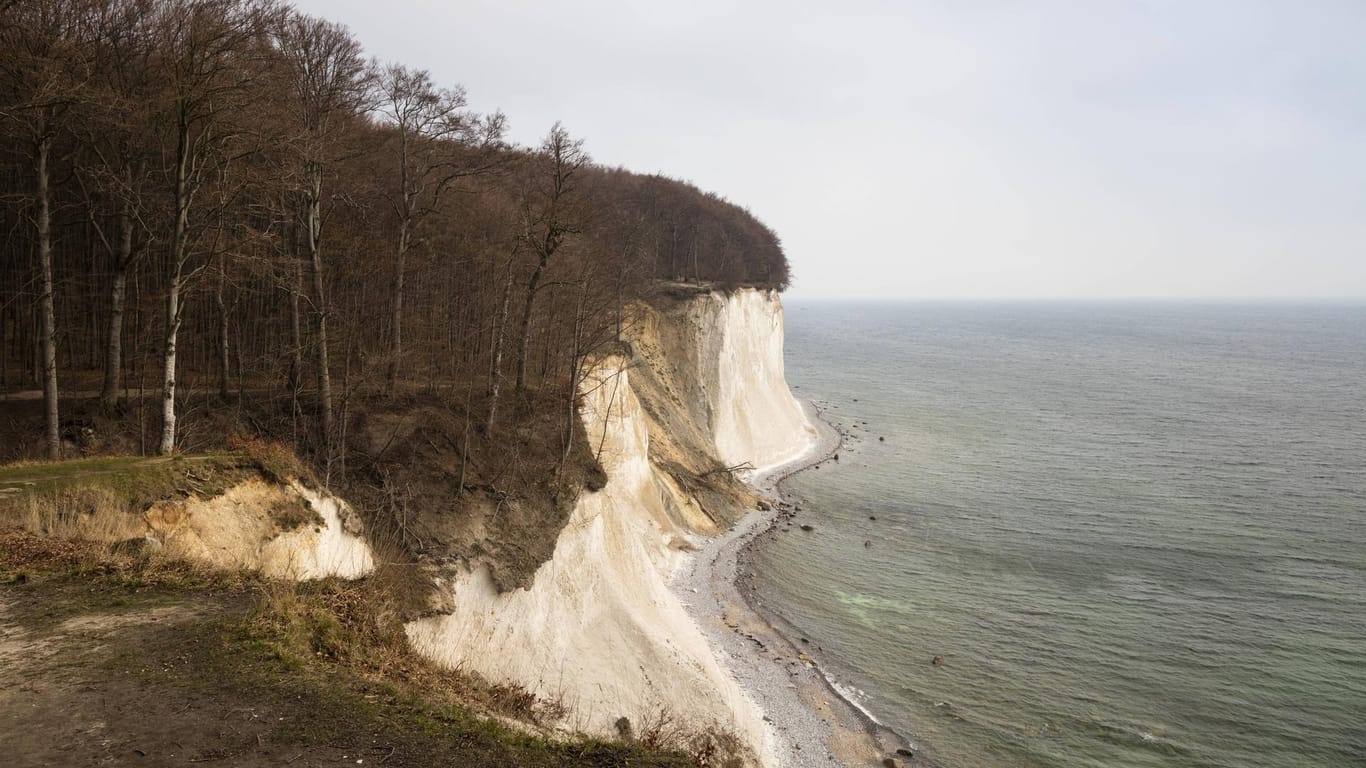Steilküste auf Rügen: Vermutlich ist der Mann von den Felsen abgestürzt – warum ist unklar (Archivbild).