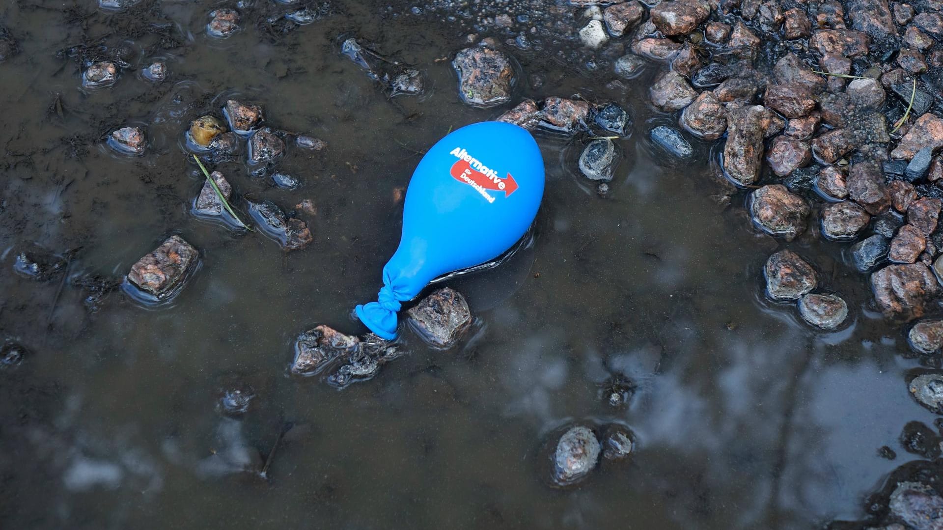 Luftballon der AfD: In Nürnberg stehen Kommunalwahlen an.