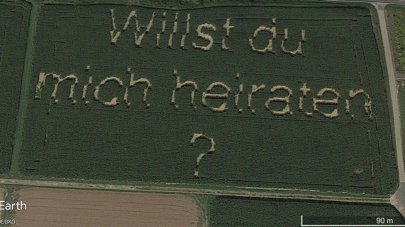 Heiratsantrag auf einem Feld im hessischen Hüttenberg: Sie hat "Ja" gesagt.