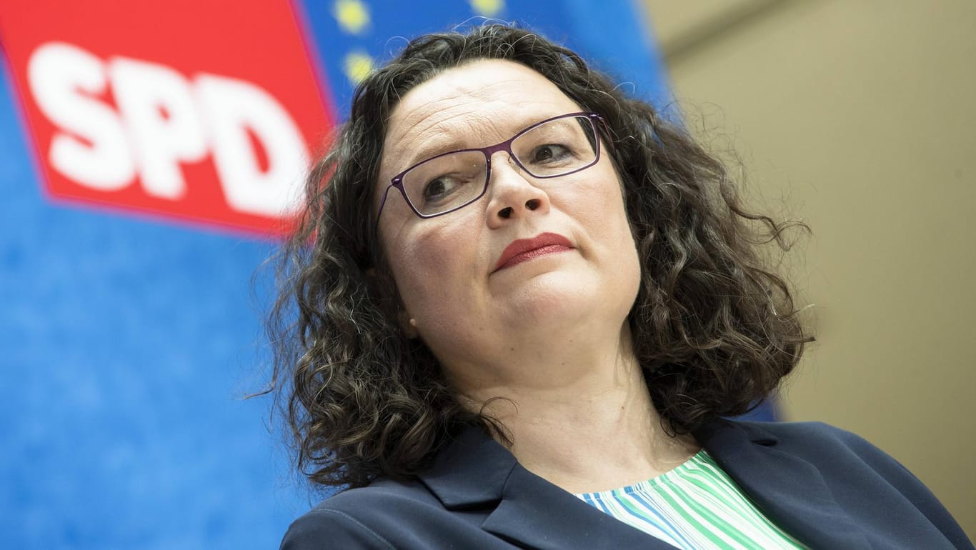 Andrea Nahles: Die frühere SPD-Chefin wurde ebenfalls durch einen Testosteron-gesteuerten Politbetrieb niedergewalzt.