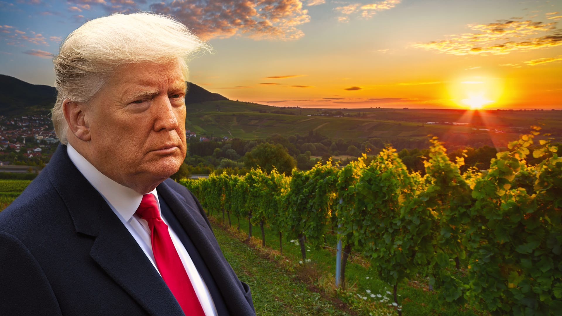 US-Präsident Donald Trump hat Strafzölle erlassen, die Riesling-Exporteure unter Druck setzen.