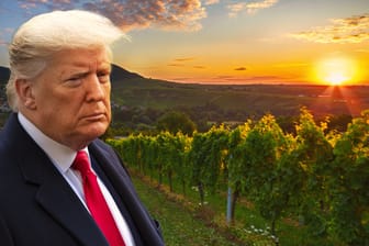 US-Präsident Donald Trump hat Strafzölle erlassen, die Riesling-Exporteure unter Druck setzen.