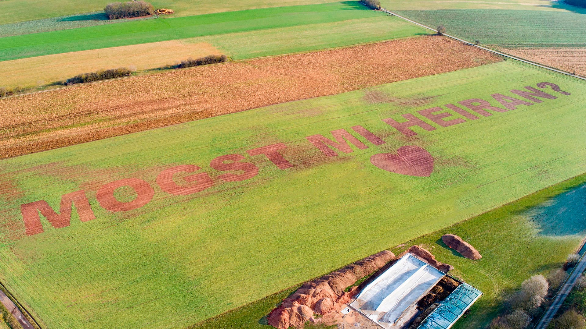 Heiratsantrag im Feld: In überdimensionalen Buchstaben steht in einem Feld "Mogst mi heiran?". Landwirt Florian Weiß aus der Oberpfalz hat seiner Freundin einen Heiratsantrag in ein Feld gesät.