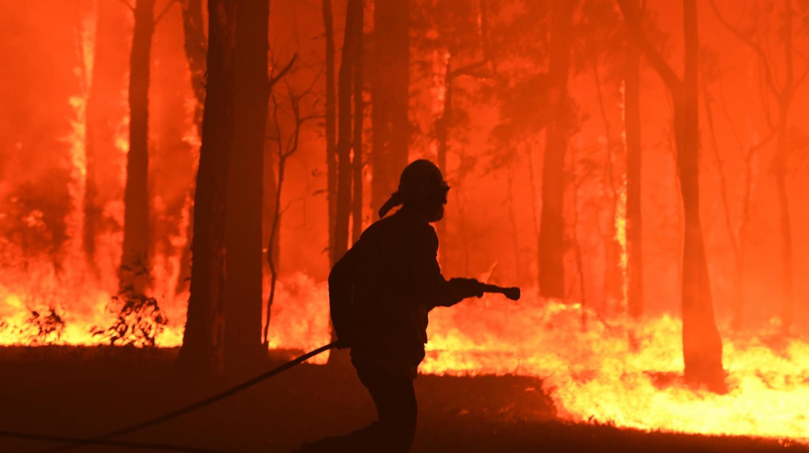 Buschfeuer in Australien: Australien hat dieses Jahr unter extremer Hitze und Trockenheit gelitten.