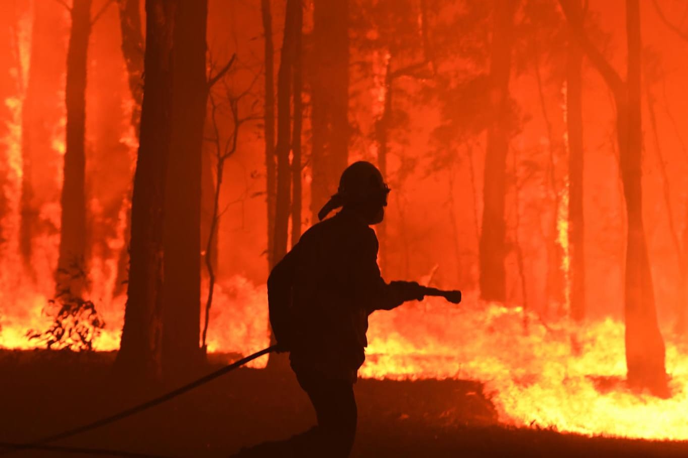 Buschfeuer in Australien: Australien hat dieses Jahr unter extremer Hitze und Trockenheit gelitten.